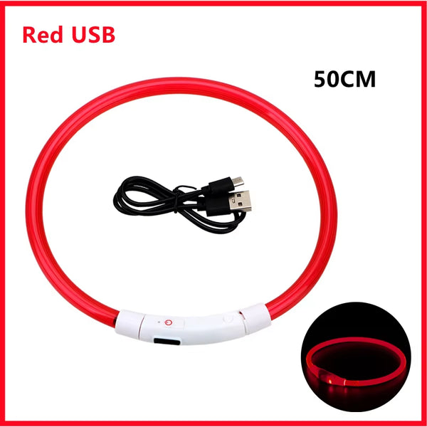 RoyalPet Led Safely Collar