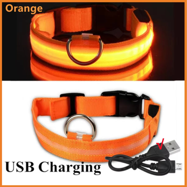 RoyalPet Led Safely Collar