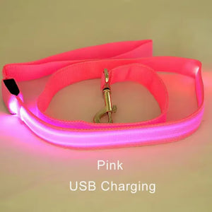 RoyalLED Dog Leash