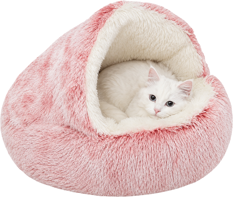 Royal Cozy Bed