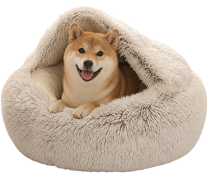 Royal Cozy Bed