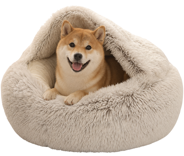 Royal Cozy Bed